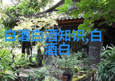 2024年古井贡酒8226年份原浆全球经销商大会隆重举行