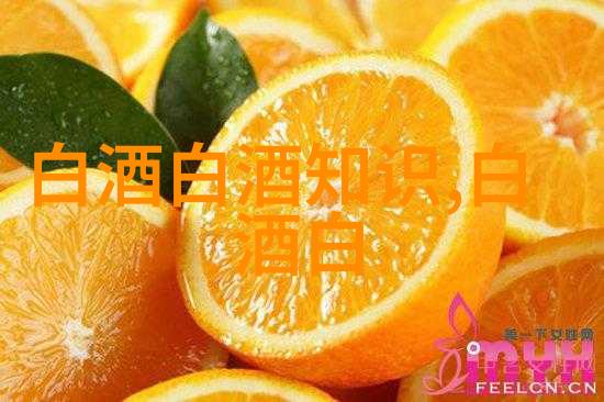 2024贵州茅台社会招聘维修工笔试通知