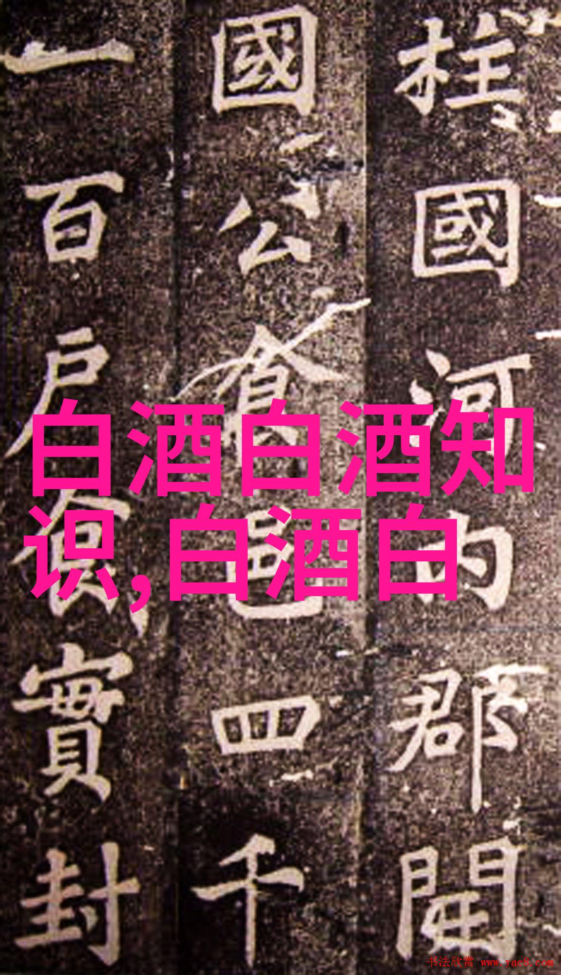 五粮液系列酒有哪些经典之作哪款更适合日常饮用